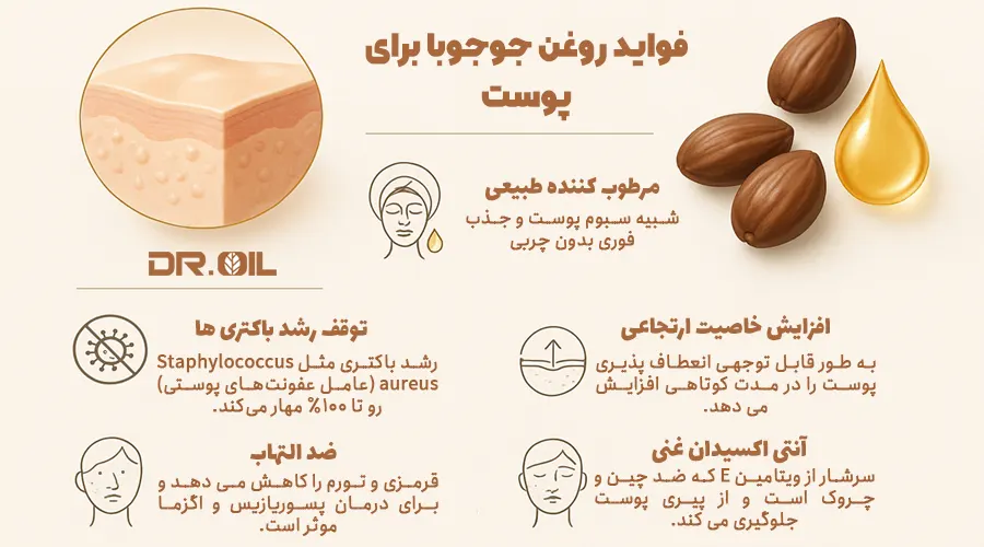 فواید روغن جوجوبا برای پوست صورت