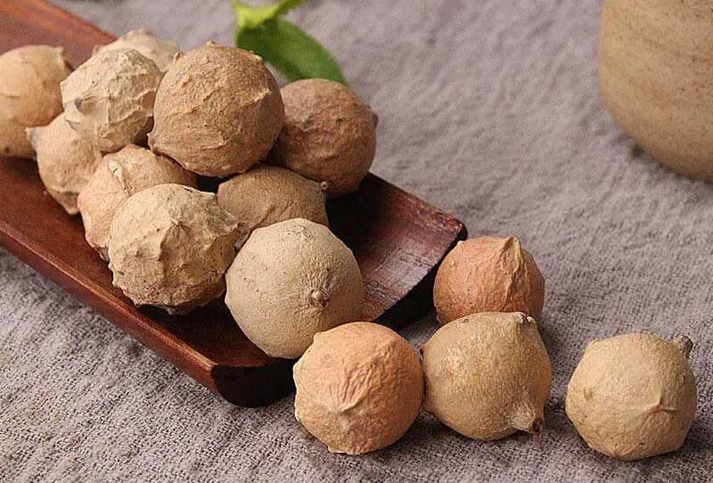 بررسی خواص روغن مازوج اصل