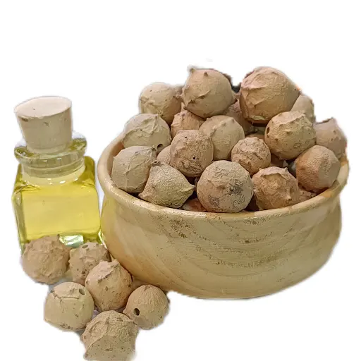 استعلام قیمت و خرید روغن مازوج اصل از فروشگاه اینترنتی دکتر اویل