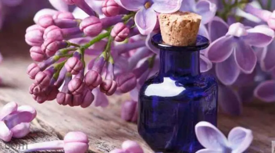 استعلام قیمت و خرید روغن بنفشه بر پایه زیتون از فروشگاه اینترنتی دکتر اویل