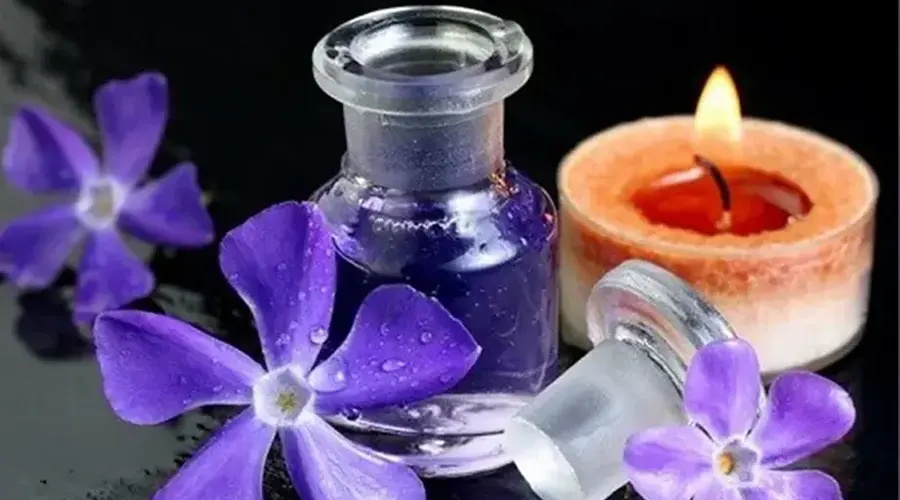 استعلام قیمت و خرید روغن بنفشه بر پایه زیتون از فروشگاه اینترنتی دکتر اویل
