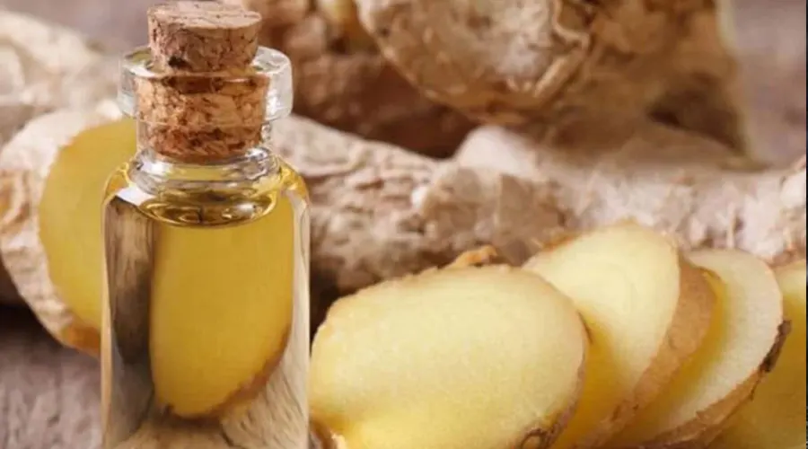 استعلام قیمت و خرید روغن سیب زمینی اصل از فروشگاه اینترنتی دکتر اویل