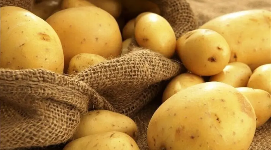 استعلام قیمت و خرید روغن سیب زمینی اصل از فروشگاه اینترنتی دکتر اویل