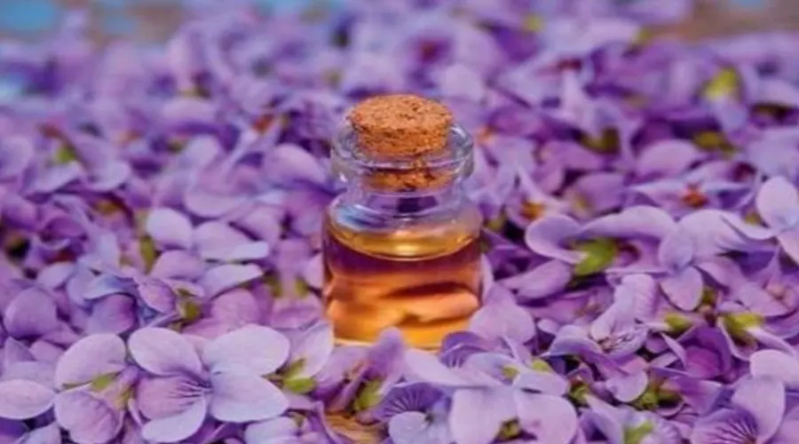 استعلام قیمت و خرید روغن بنفشه بر پایه کنجد