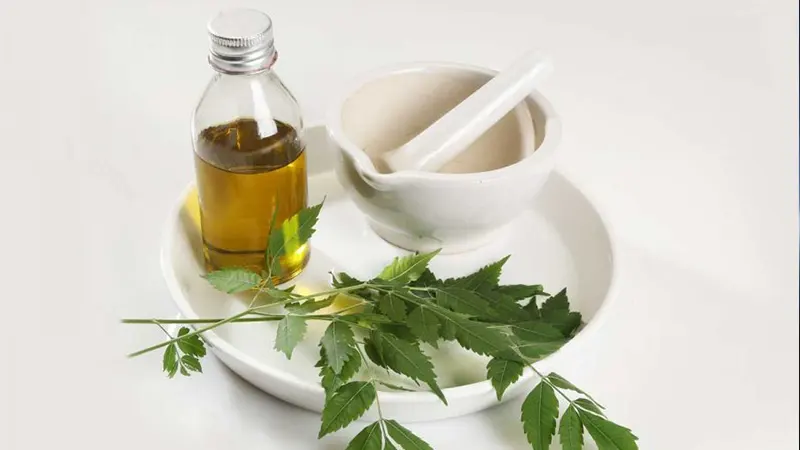 استعلام قیمت خرید روغن برگ چریش اصل از فروشگاه اینترنتی دکتر اویل