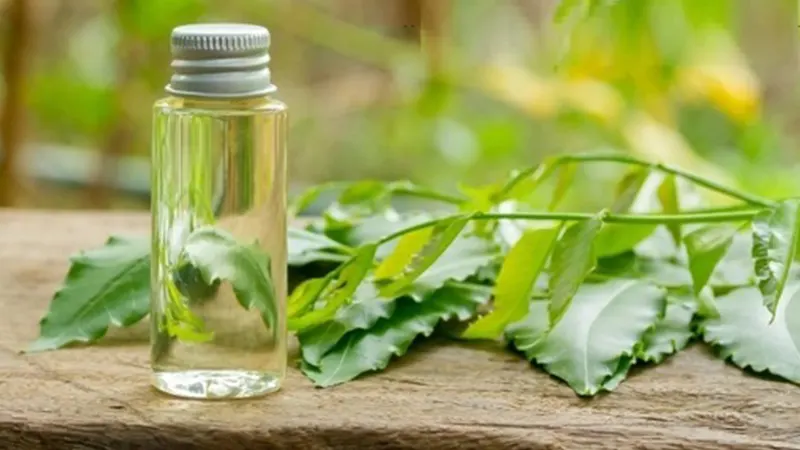 استعلام قیمت خرید روغن برگ چریش اصل از فروشگاه اینترنتی دکتر اویل