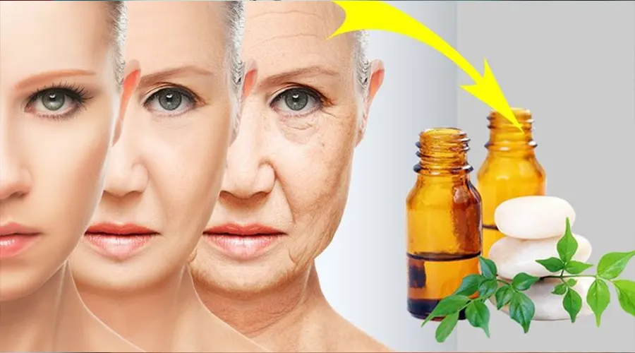 روش مصرف روغن مناسب پوست نرمال