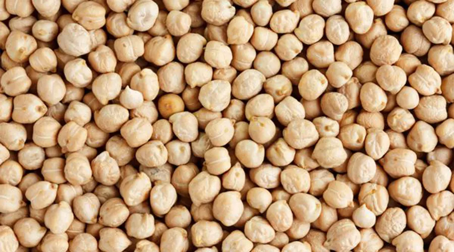 روش استفاده از روغن نخود اصل در مصارف پزشکی و درمانی