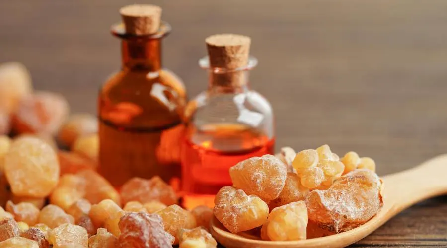 قیمت خرید روغن کندر اصل از فروشگاه دکتر اویل