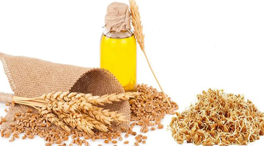 بهترین کیفیت و مناسب ترین قیمت خرید روغن جوانه گندم اصل محصولی از دکتر اویل