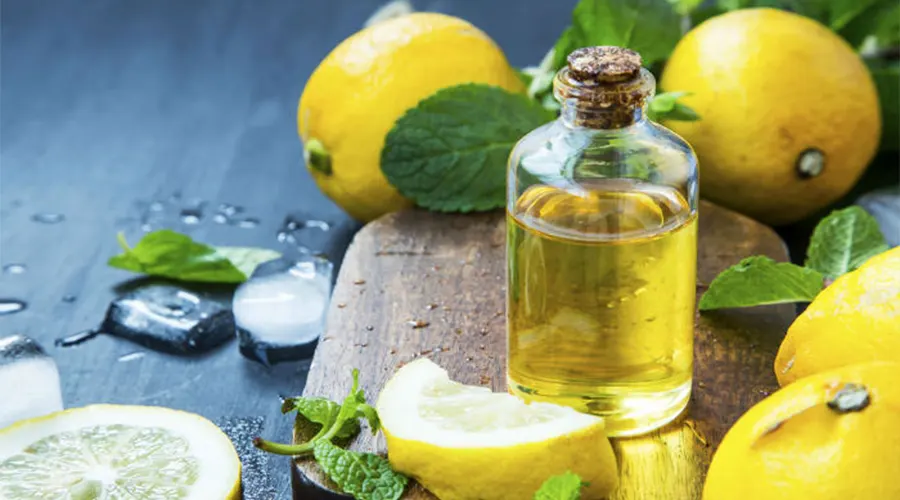 قیمت خرید روغن لیمو اصل از فروشگاه دکتر اویل با بهترین کیفیت