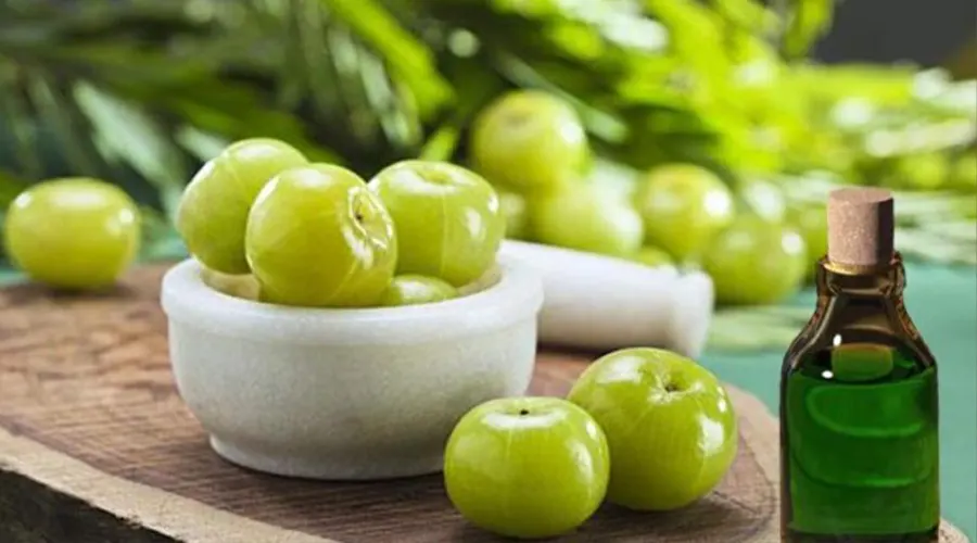 خرید روغن آملا اصل از فروشگاه دکتر اویل