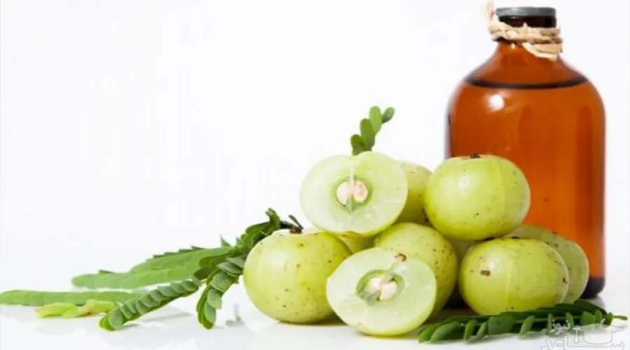 خواص و ترکیبات روغن آملا اصل محصولی از دکتر اویل