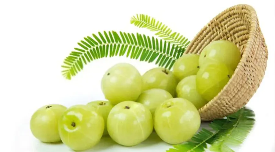 خرید روغن آملا از دکتر اویل با بهترین کیفیت و مناسب ترین قیمت