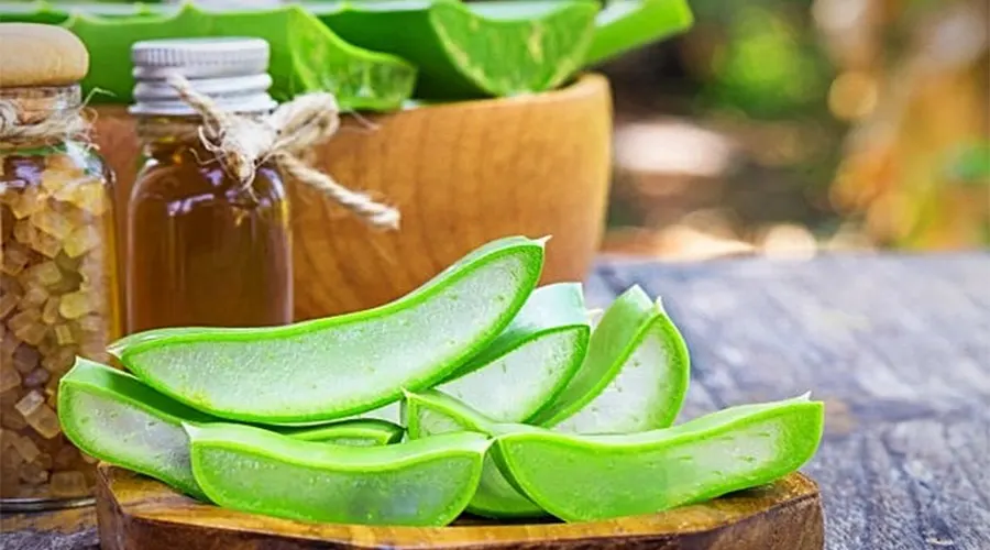 خرید روغن آلوئه ورا اصل از فروشگاه دکتر اویل