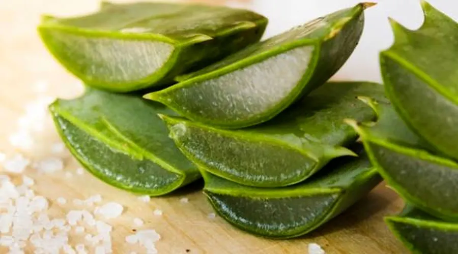 خواص روغن آلوئه ورا اصل از محصولات دکتر اویل
