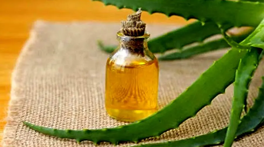 روش مصرف روغن آلوئه ورا اصل از محصولات فروشگاه اینترنتی دکتر اویل