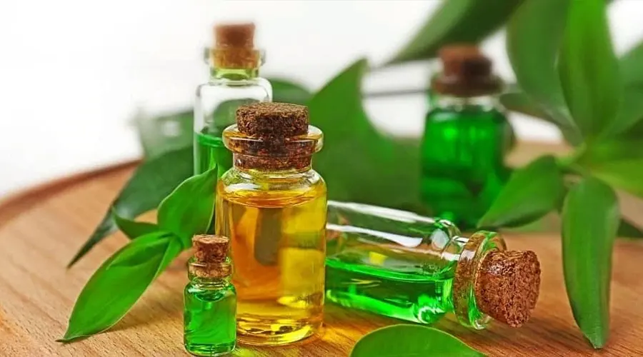 خرید روغن درخت چای اصل از فروشگاه دکتر اویل