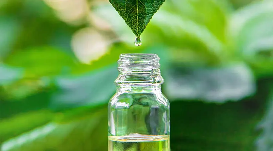 ترکیبات و خواص روغن درخت چای اصل و ارگانیک از محصولات دکتر اویل