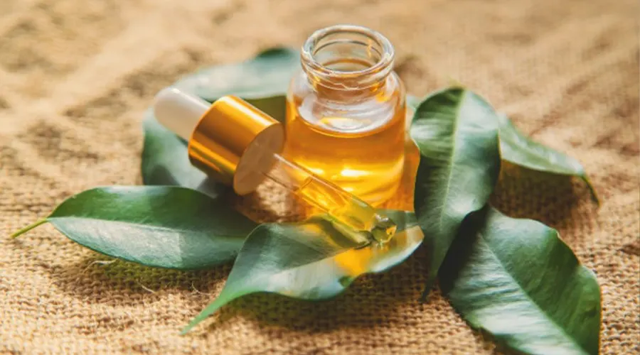 بهترین کیفیت استاندارد روغن درخت چای اصل و ارگانیک از محصولات دکتر اویل