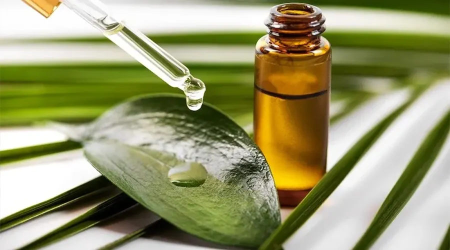 خرید روغن درخت چای اصل و استفاده در مراقبت های پوست و مو