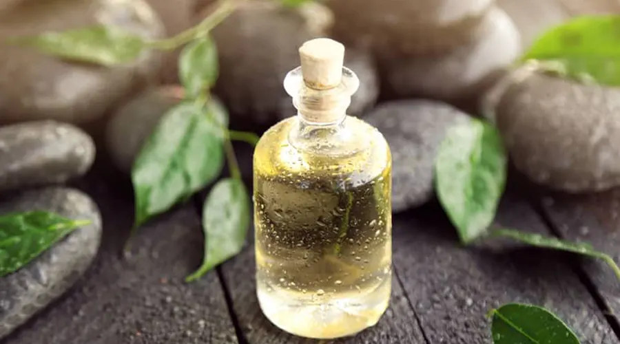 خرید روغن درخت چای و استفاده در روتین بهداشت پوست و مو