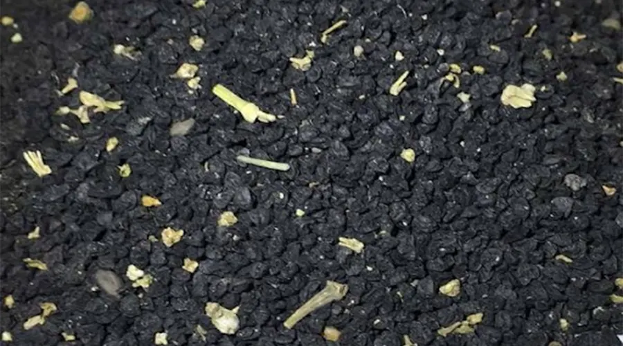 مناسب ترین قیمت خرید روغن تخم تره خالص از فروشگاه دکتر اویل