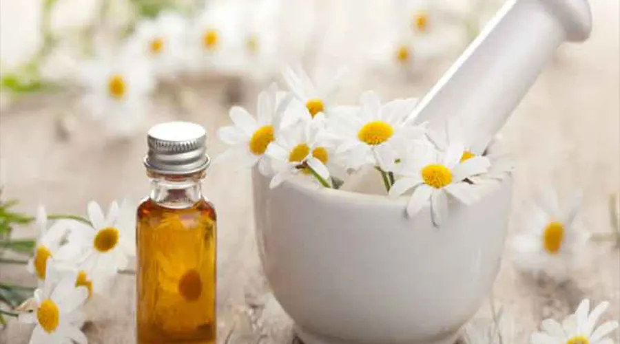 خرید روغن بابونه اصل از فروشگاه دکتر اویل