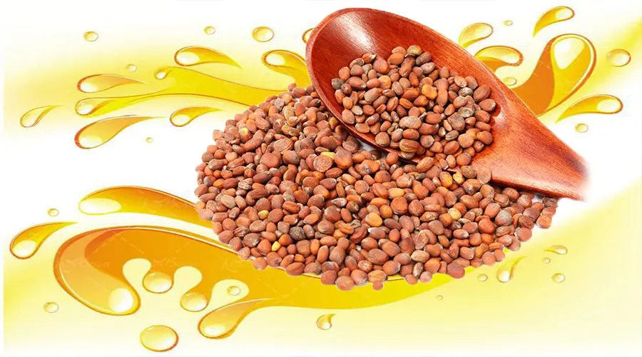 قیمت خرید روغن کلدپرس تخم تربچه اصل از فروشگاه دکتر اویل