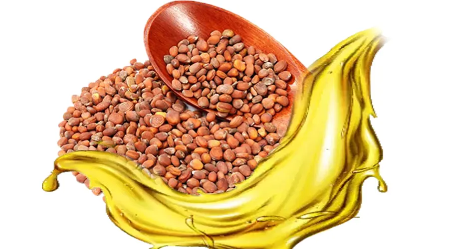 بهترین مارک روغن کلدپرس تخم تربچه اصل در فروشگاه اینترنتی دکتر اویل