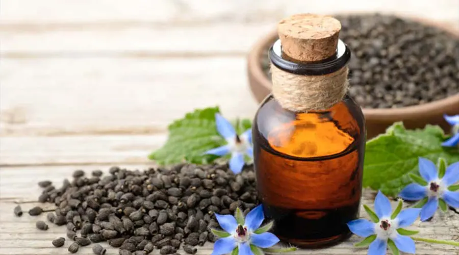 خرید روغن بذر گل گاوزبان اصل از فروشگاه دکتر اویل