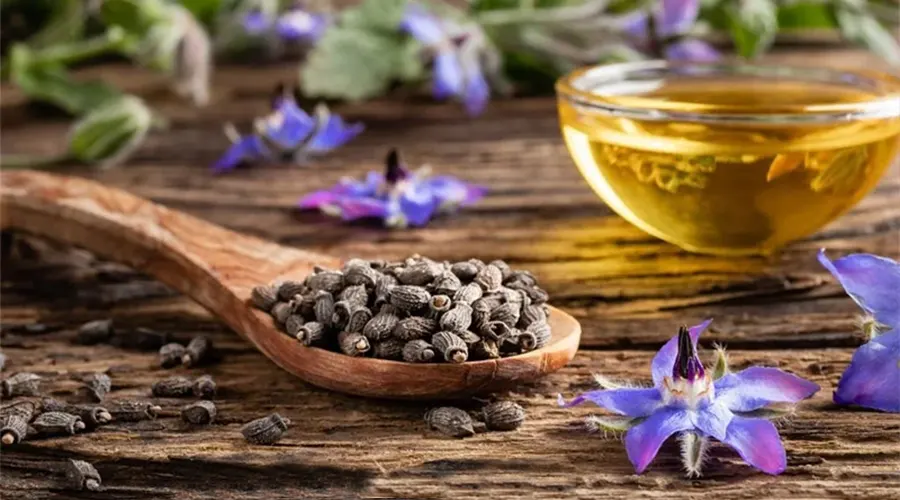 خواص روغن بذر گل گاوزبان اصل از محصولات دکتر اویل