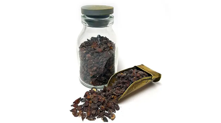 خرید روغن هسته به خالص و ارگانیک از فروشگاه اینترنتی دکتر اویل