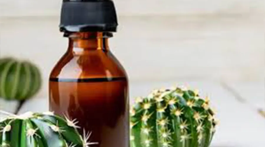 خرید روغن کاکتوس خالص و ارگانیک از فروشگاه دکتر اویل