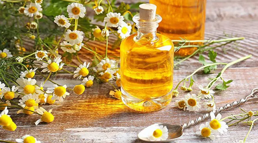 بهترین کیفیت و قیمت خرید روغن بابونه اصل از محصولات دکتر اویل