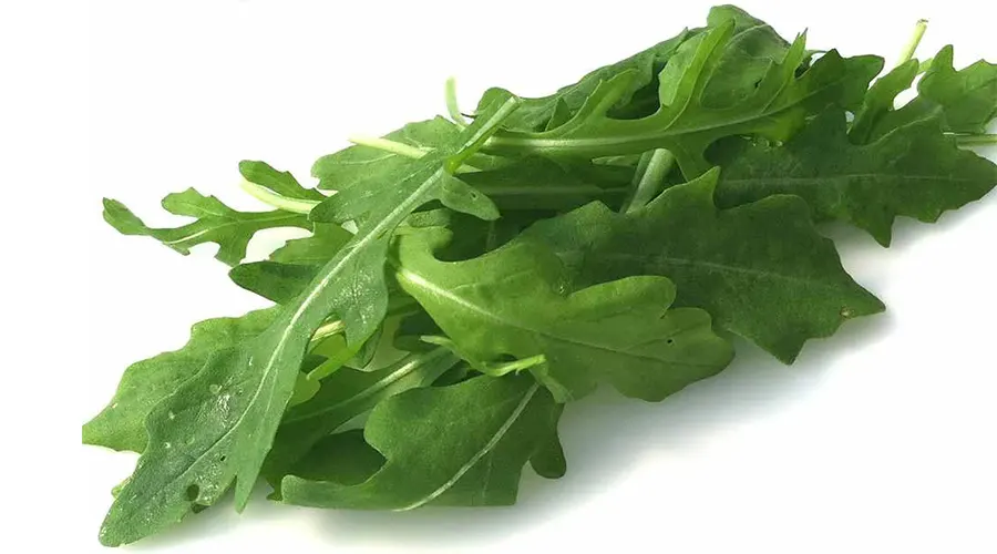 خواص روغن بذر منداب اصل از محصولات دکتر اویل