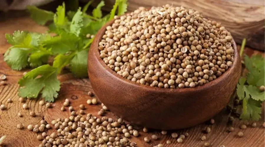 خرید روغن بذر منداب اصل از فروشگاه دکتر اویل