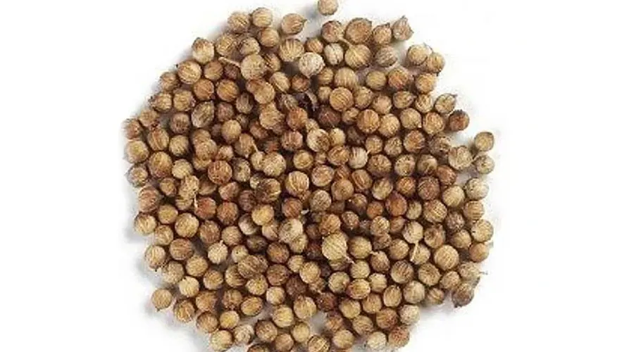 روش مصرف روغن بذر منداب اصل از محصولات دکتر اویل
