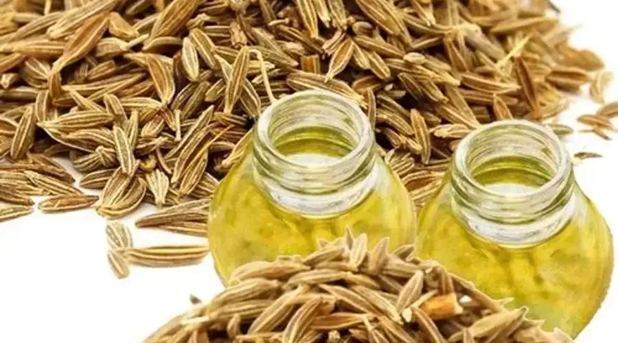 روش مصرف روغن کلدپرس زیره سبز اصل از محصولات دکتر اویل