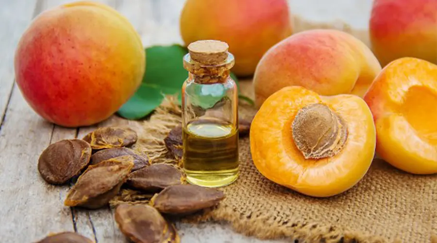 بهترین کیفیت روغن کلدپرس هسته زردآلو اصل از محصولات دکتر اویل