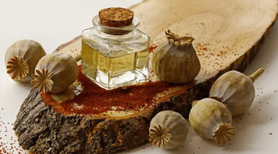 بهترین قیمت خرید روغن کلدپرس خشخاش را در فروشگاه دکتر اویل تجربه کنید.