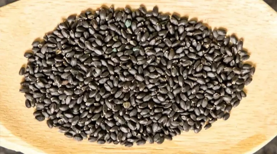 خرید روغن کلدپرس تخم خرفه اصل از محصولات دکتر اویل