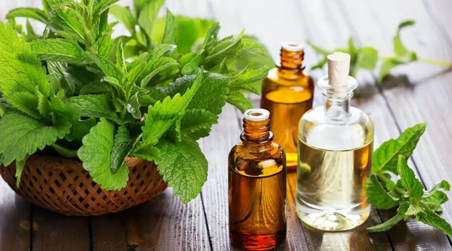 خرید روغن نعنا فلفلی اصل از محصولات دکتر اویل