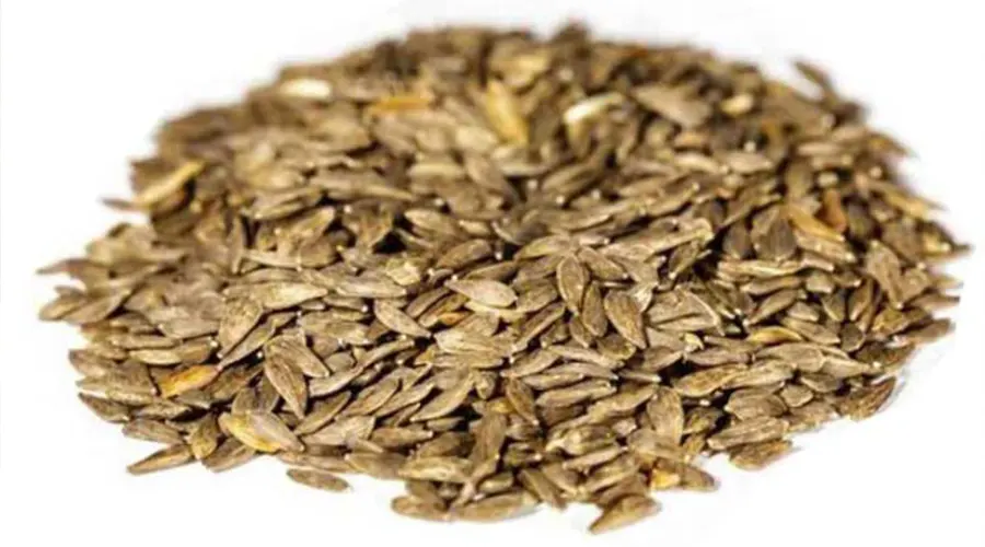 خواص روغن کلدپرس تخم کاهو اصل از محصولات دکتر اویل