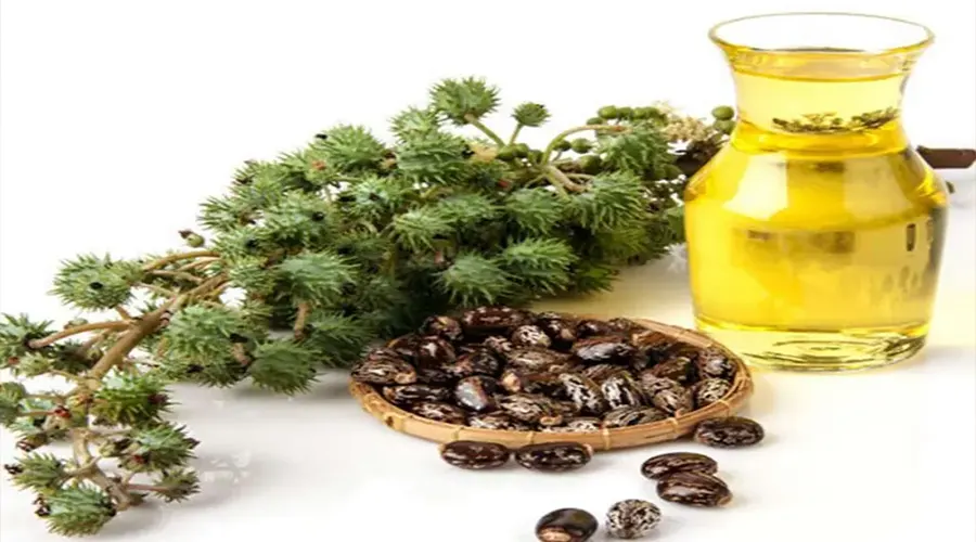 خواص روغن فرابکر کرچک اصل از محصولات دکتر اویل