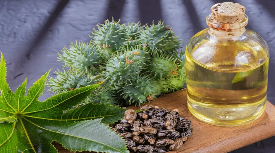 حساسیت و آلرژیک در مقابل روغن کرچک