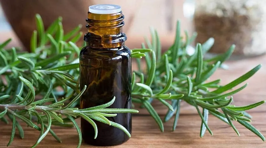 خرید روغن رزماری اصل از فروشگاه دکتر اویل