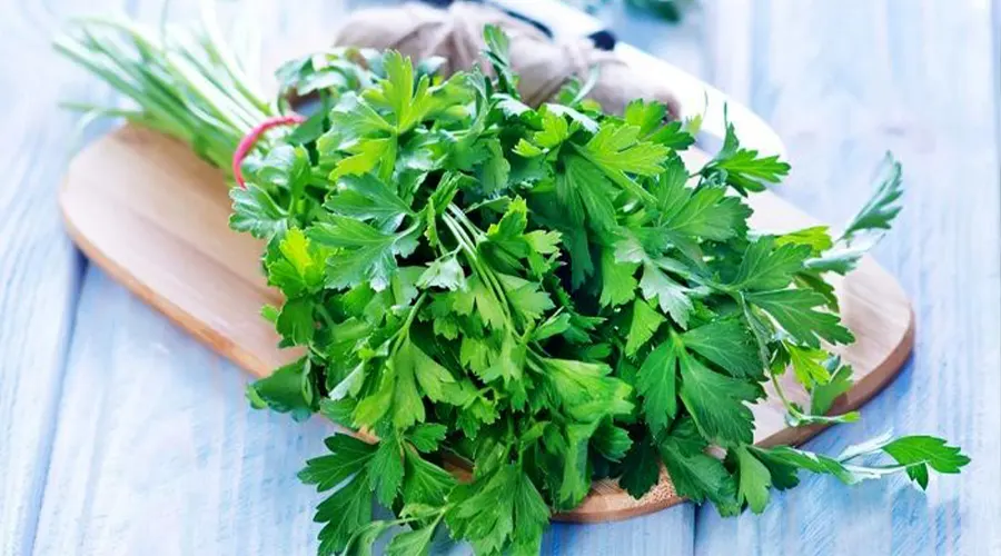 ترکیبات روغن کلدپرس بذر جعفری اصل