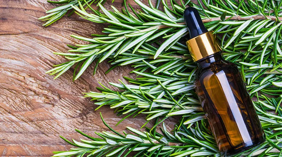 بهترین قیمت خرید روغن رزماری اصل از محصولات دکتر اویل