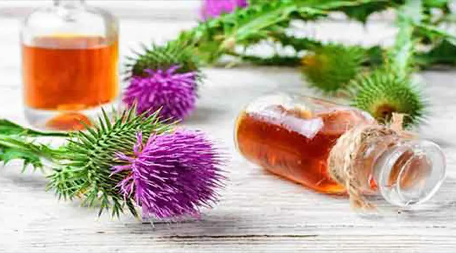 خرید روغن بذر خارمریم اصل از فروشگاه دکتر اویل